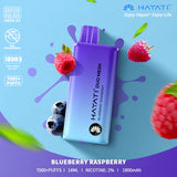 Hayati Duo Mesh 7000 Disposable Vape - Any 2 for £20