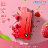 Hayati Duo Mesh 7000 Disposable Vape - Any 2 for £20